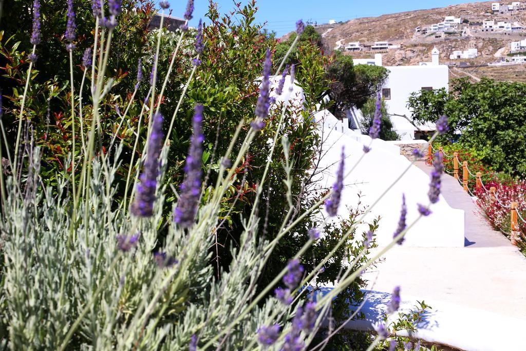 Aelia Mykonos Hotel ออร์นอส ภายนอก รูปภาพ